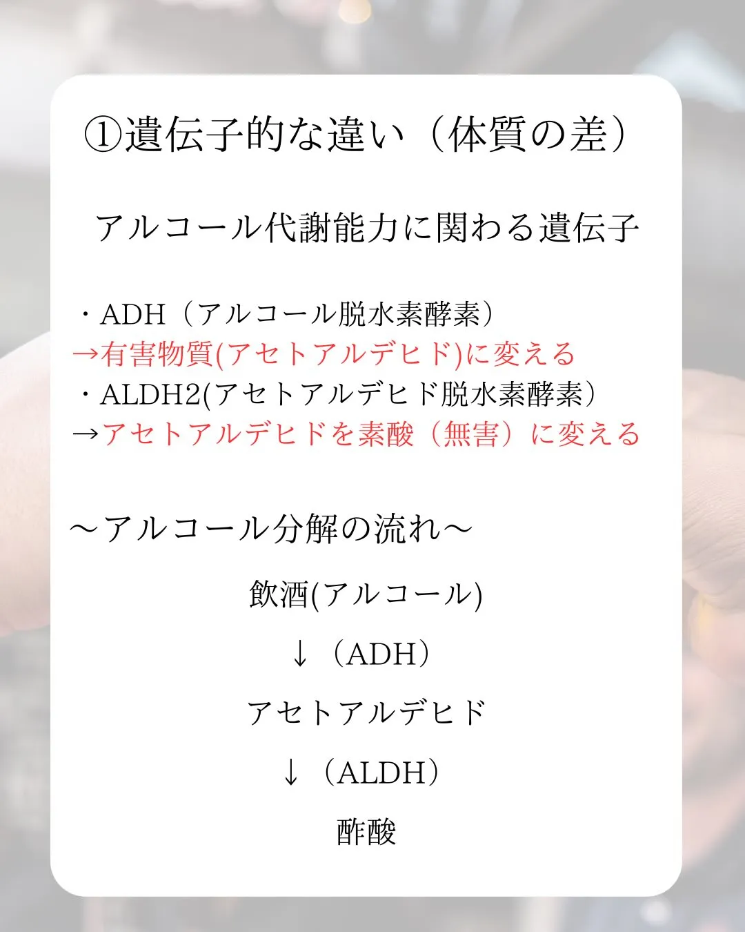 お酒を呑んでも太る人と太らない人の大きな違い