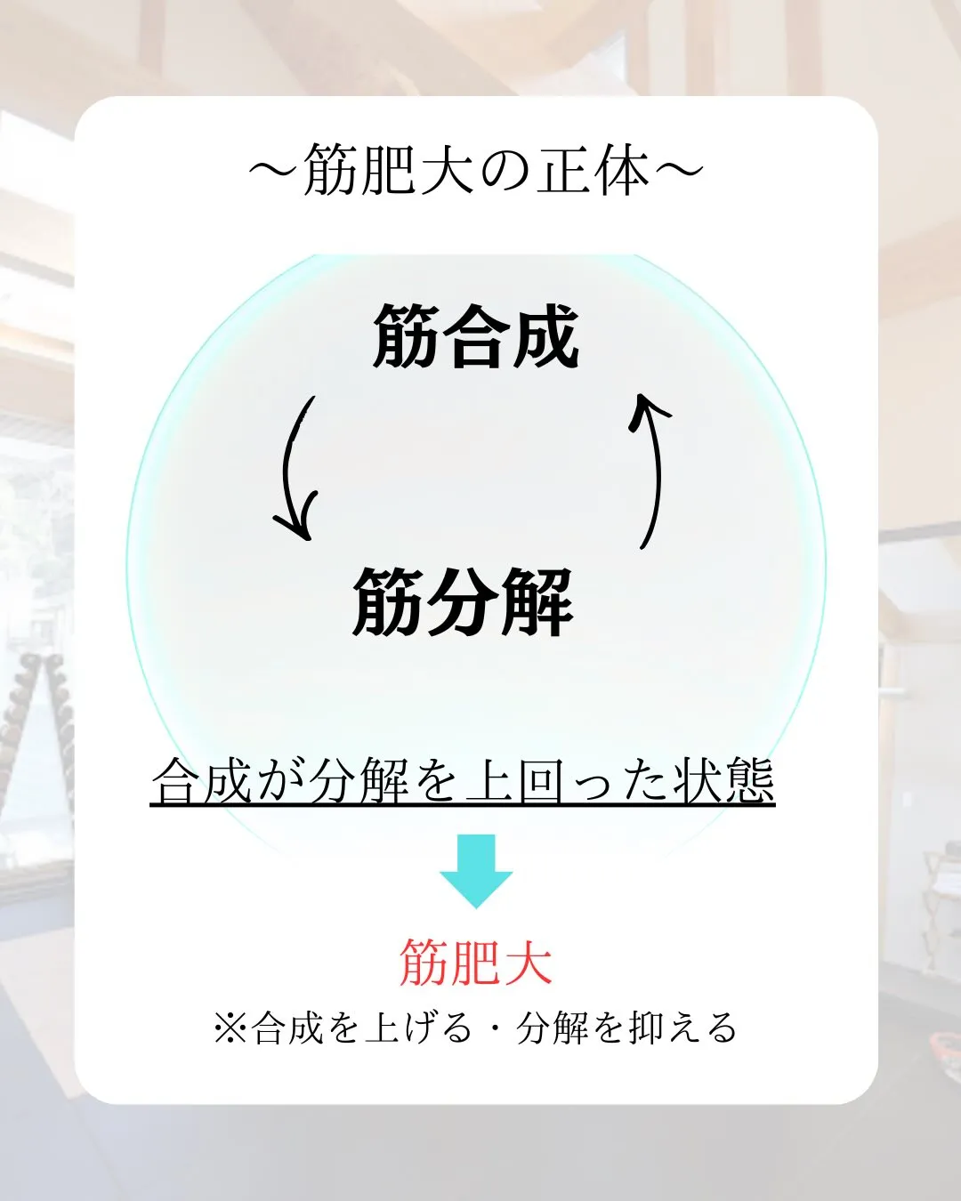 〜筋肥大とタンパク質のつながり〜